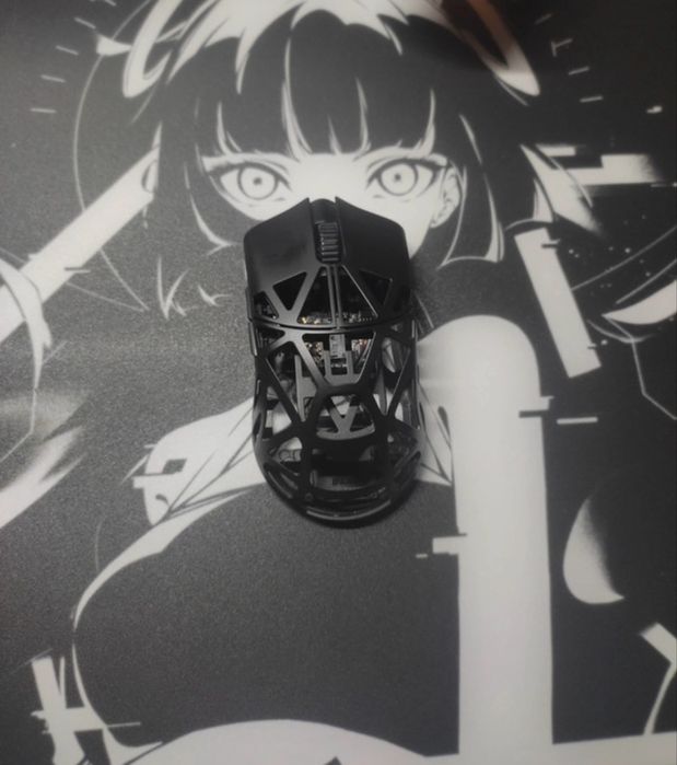 Wlmouse beast x black