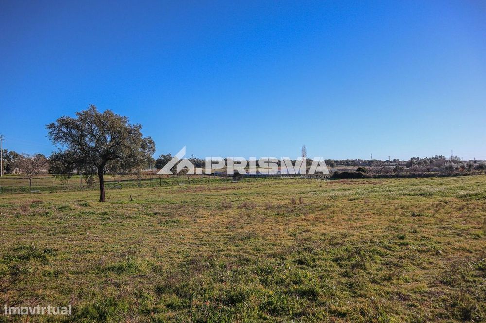 Terreno de 30.000m2 para venda em Alcains