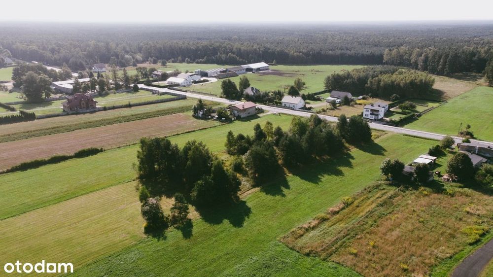 Działka budowlana Woźniki Dyrdy 1699 m² - View 4