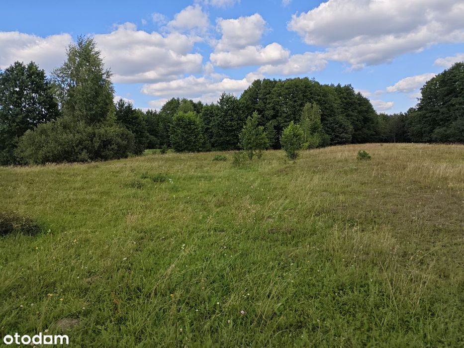 działka 0,52 ha blisko Narwi – cisza, natura