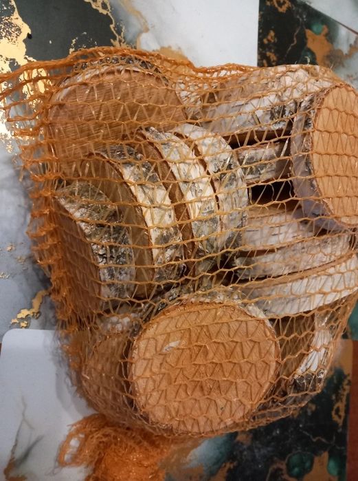 29szt. plastrów brzozy