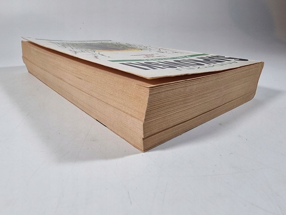 Pani Jeziora / Wiedźmin / SuperNOWA / Andrzej Sapkowski