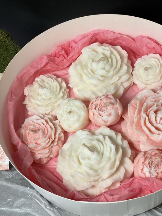 Квіти до 8 березня, які принесуть користь