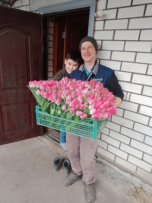 Гіацинти до 8 березня.