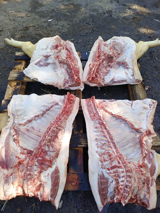 Продаю м'ясо свинини
