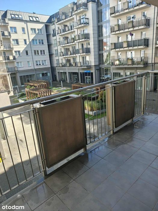 Komfortowe 3pokoje,2 toalety Jeżyce Teatralka