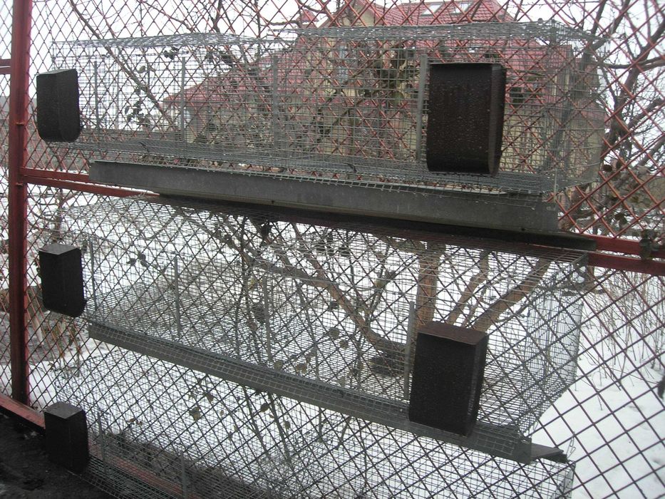 Клетка для кроликов на 8 голов