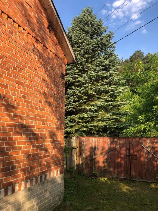 Dom z siedliskiem I ok. 1 ha – Biedrzychów - Widok 2