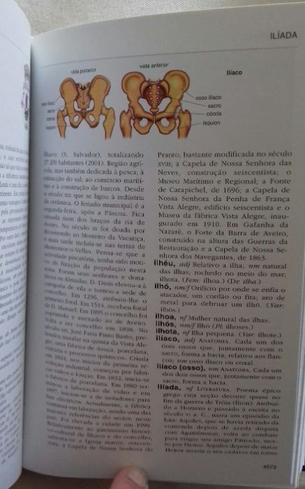 Enciclopédia Público - 20 Volumes - como novos