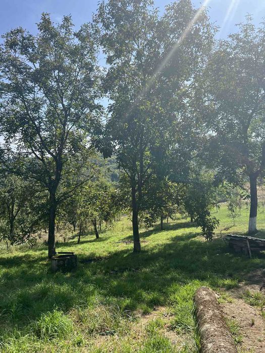 Ціну знижено! Продаю будинок у селі Черник біля Сваляви