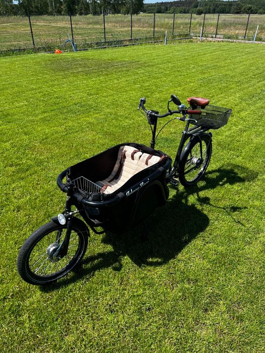 Rower riksza Johnny Loco Opole • OLX.pl
