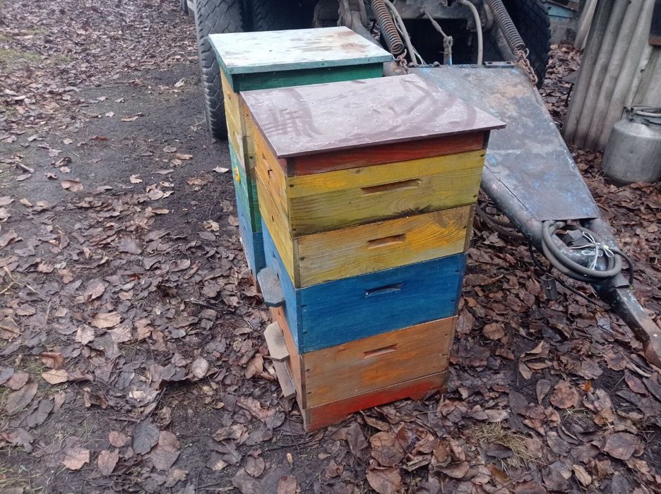 Продам вулики Рута на 10 рамок