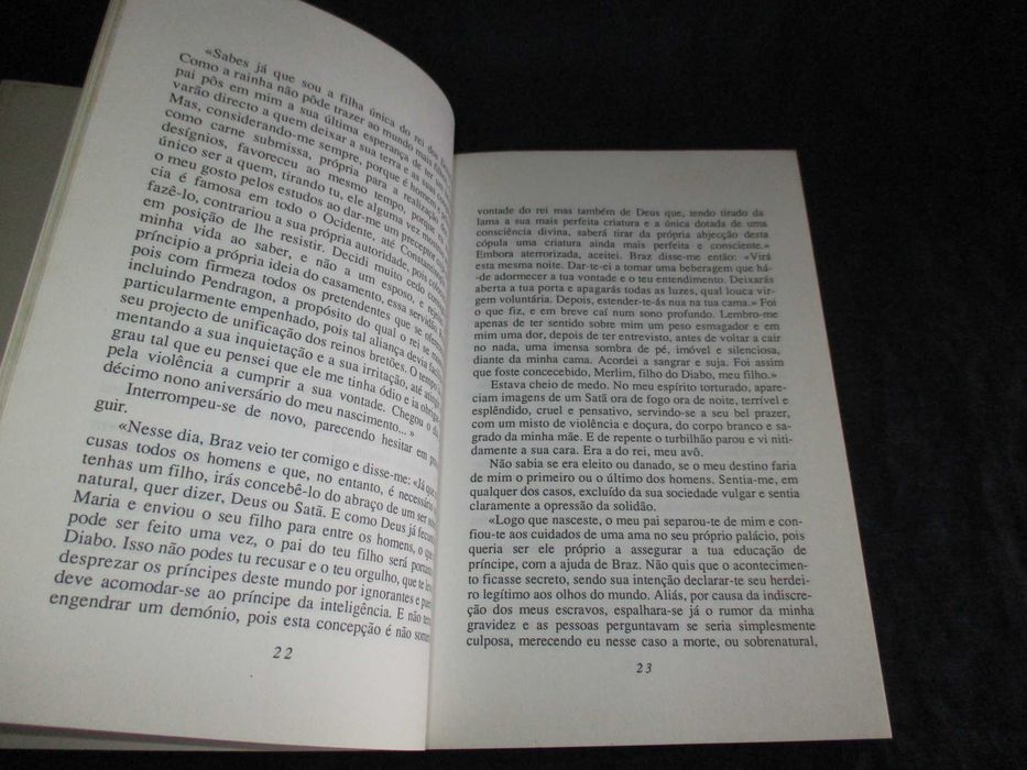 Livro Merlim Michel Rio