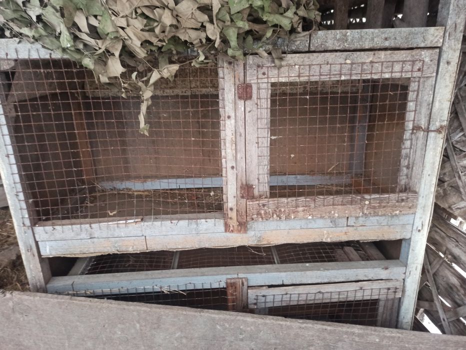 клітка 2 ярусна  з дверцятами.