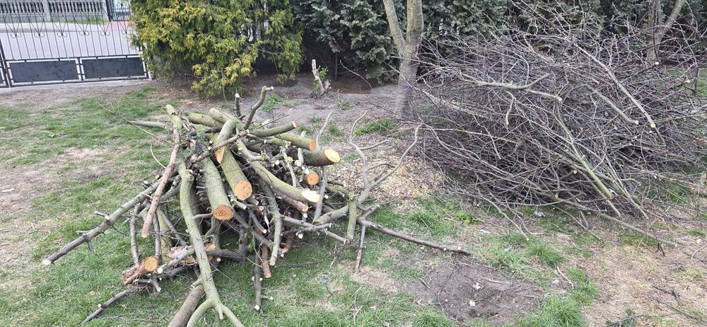 Oddam drewno i chrust