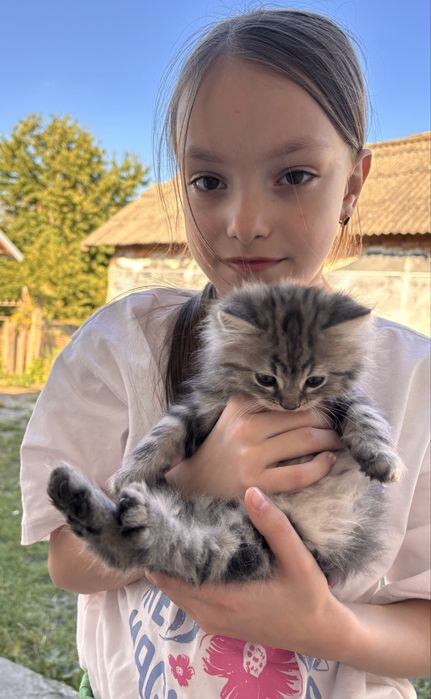 Віддамо в хороші руки