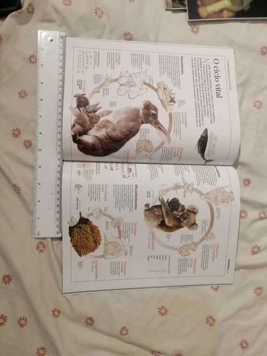 Enciclopédias de animais