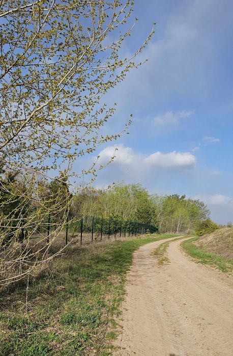 Продаю земельну ділянку Музичі