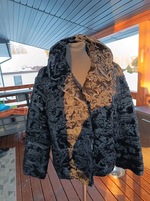 Krótka kurteczka z karakułów