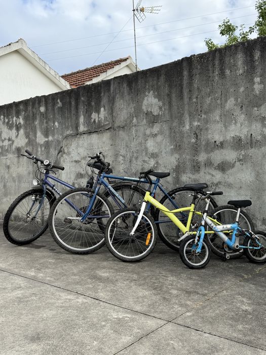 Bicicletas adulto e criança