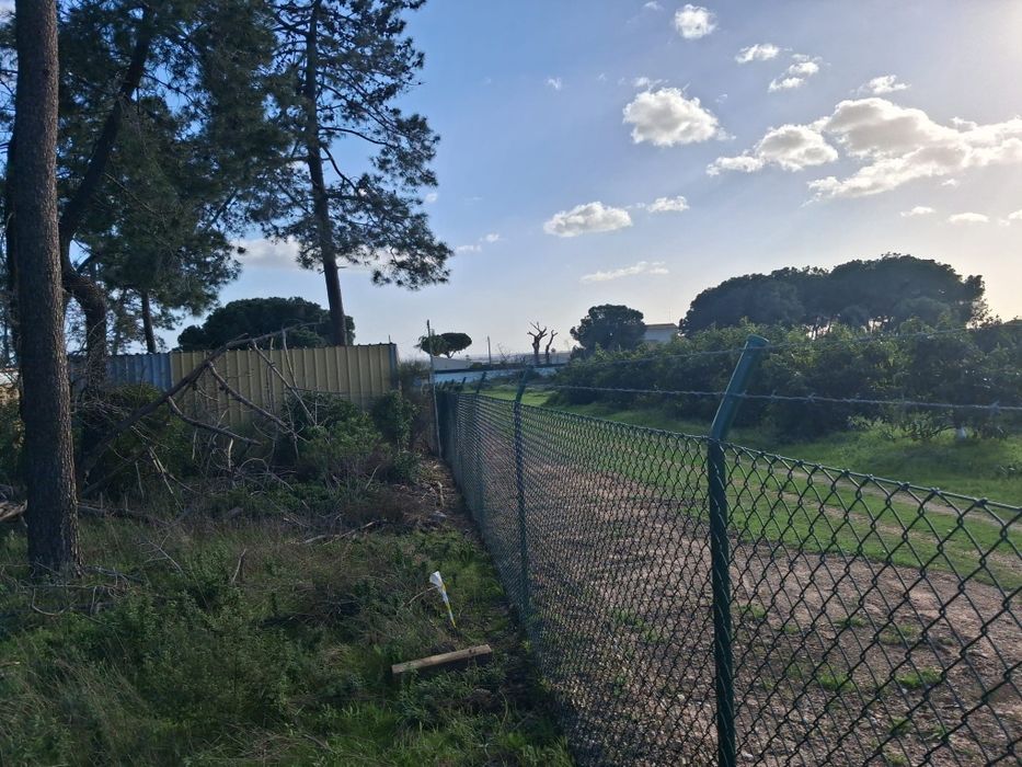 Terreno Rústico em Santa Bárbara De Nexe, com vista mar. .