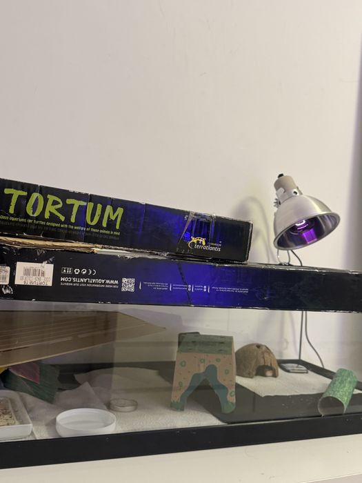 Tank Tortum – ideal para tartarugas, hamsters ou répteis etc.