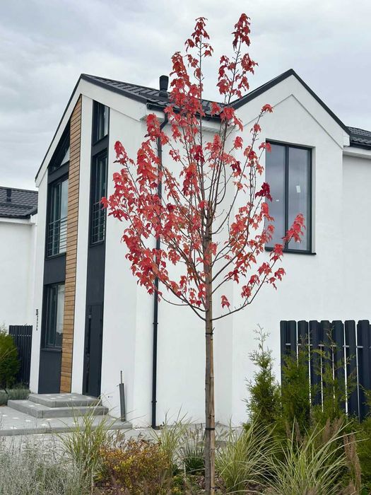 Котедж з документами 100 м² в котеджному містечку з озером, біля Десни