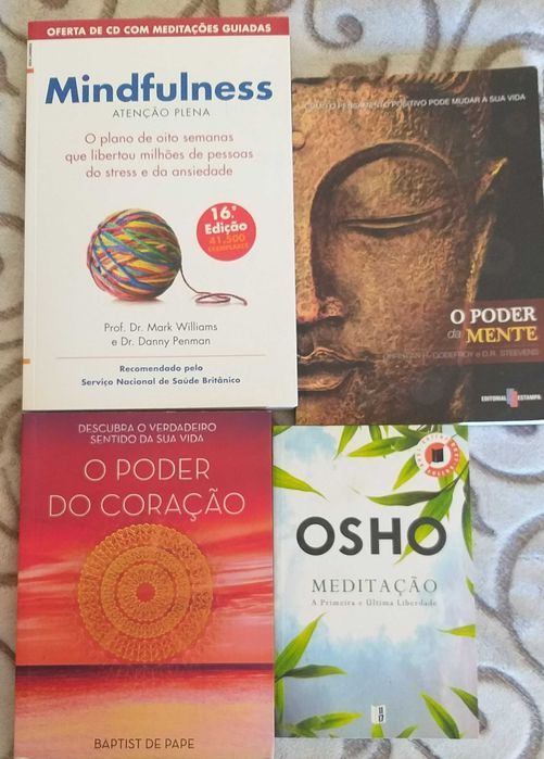Sofá + travessa e talheres novos +  aquecimento
