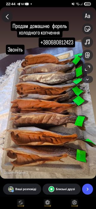 Форель холодного копченя