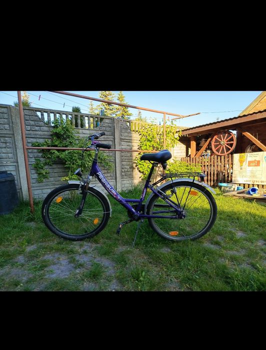 Rower damski Pegasus