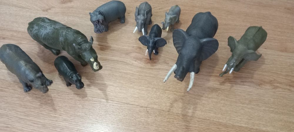 Conjunto de elefantes