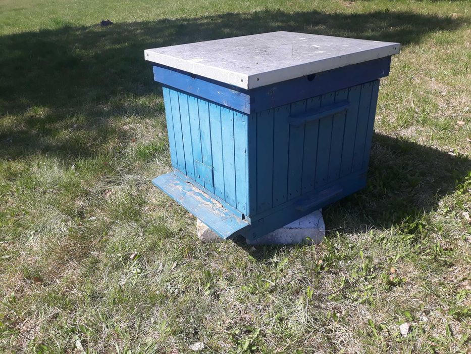 Ul Dadanta ocieplany 10-ramkowy korpusowy od Sułkowskiego