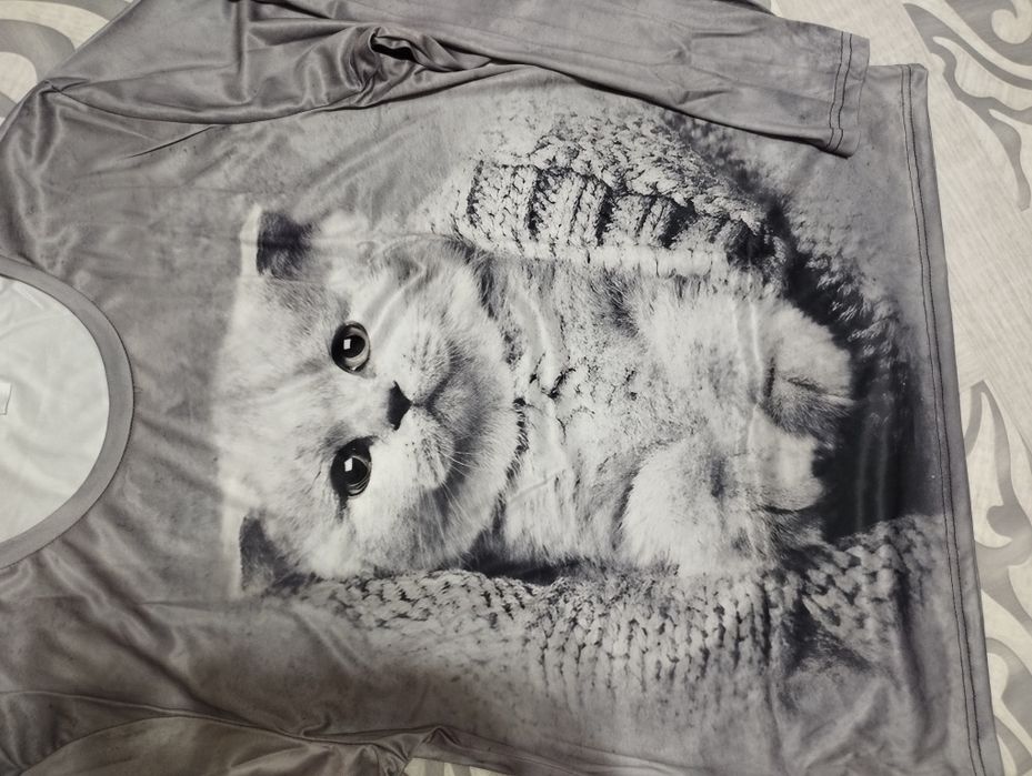 Худі, світшот, реглан