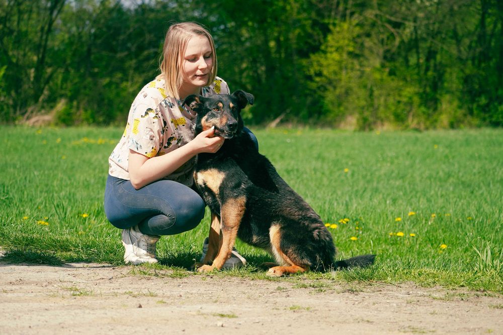 Dili - śliczna suczka szuka domu