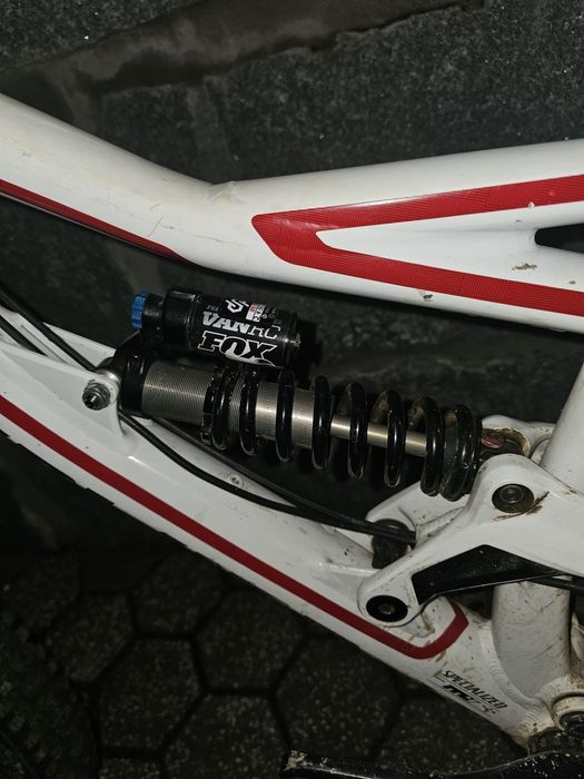 Specialized status 2