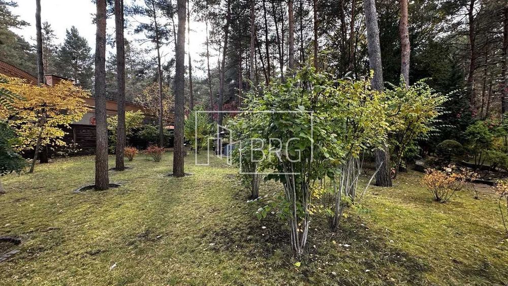 Продажа участка в сосновом лесу 52 сотки Козин Пятихатки без комиссии