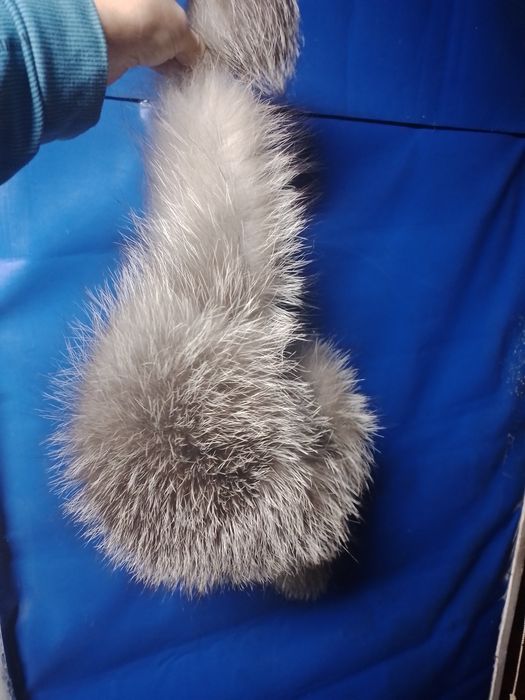 Меховая шапка ушанка чернобурка.Зимняя.женская