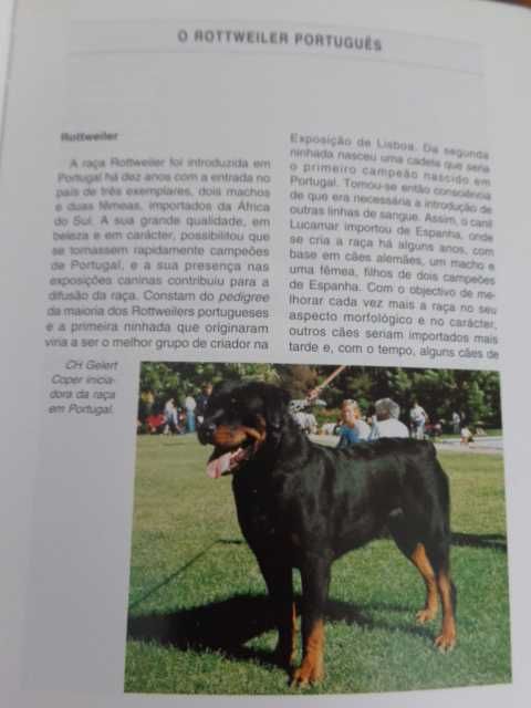 Livro sobre a raça de cão  " O Rottweiler "
