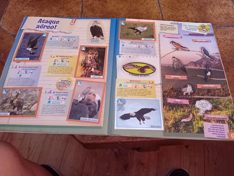 Animais 2013, caderneta cromos completa