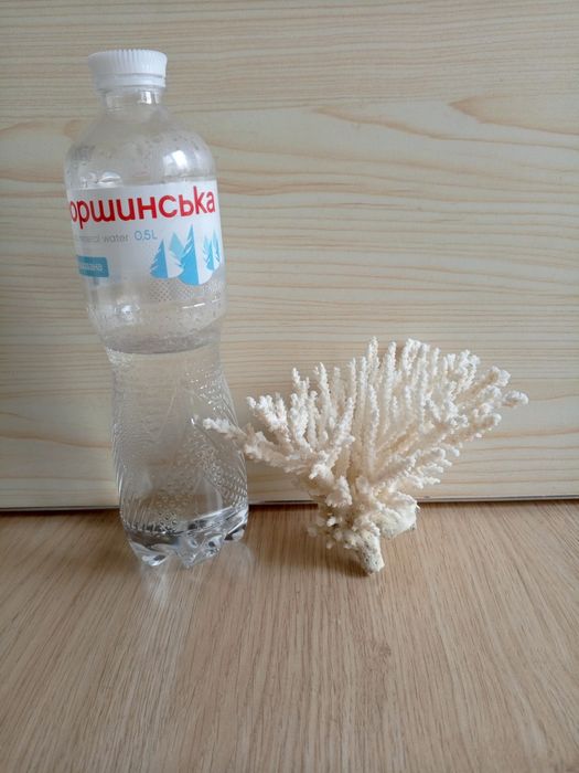 Коралловый куст для аквариума