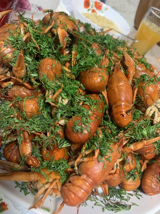 Живой рак ! Краматорск ! Доставка , Вареный !