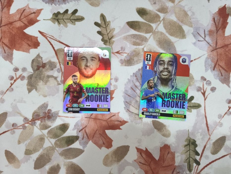 Cards da Panini Oficial