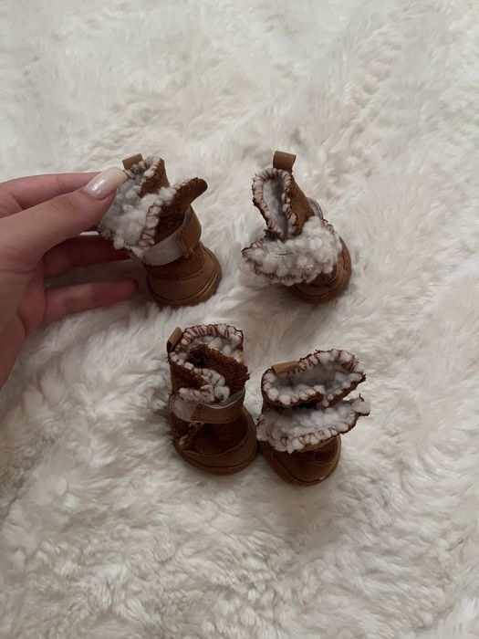 Взуття для собак