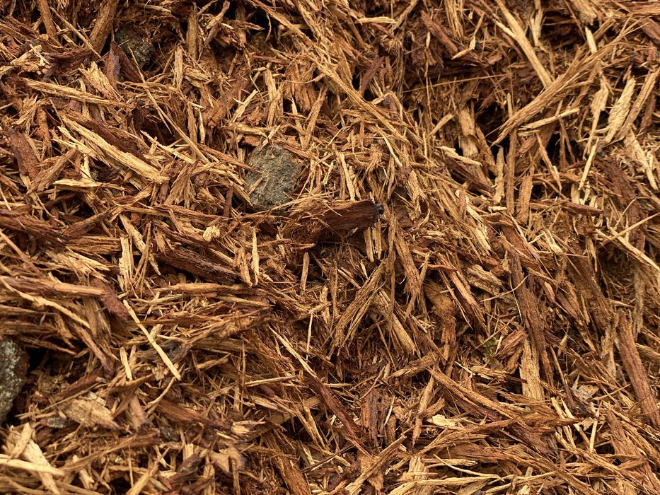 Biomasa / kora / trocina / zrzyny /oflisy/drewno  / PRODUCENT !!