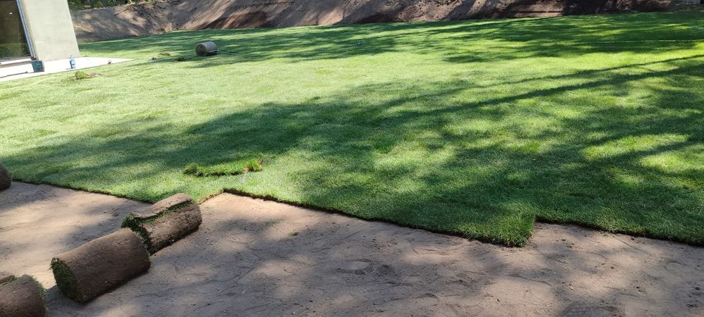 Trawa z trawnik z rolki sprzedaż transport montaż wysyłki kurier