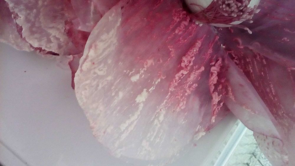 Flores decorativas, texturadas e em tecido