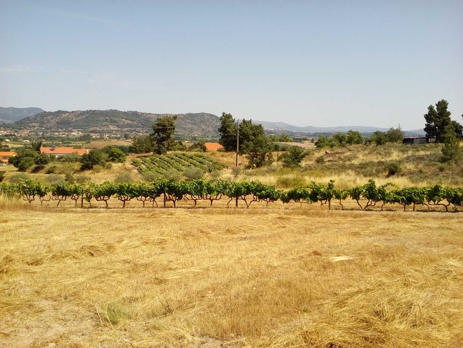 Terreno em Caria