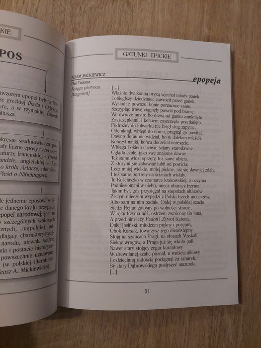 Terminy literackie na bardzo dobry wydawnictwo grsm