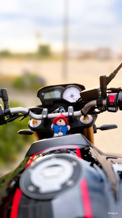 FZ8 Yamaha Nacional