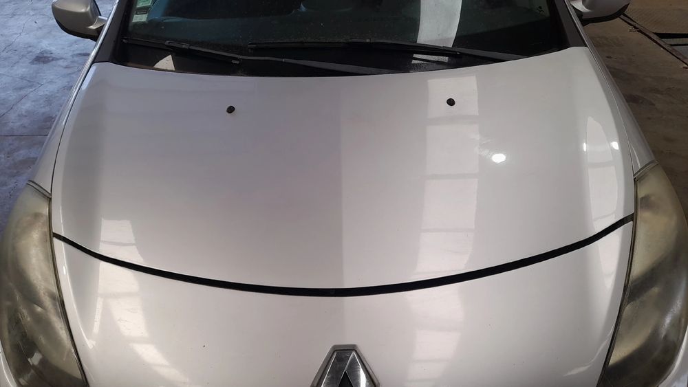 Capot RENAULT Clio III (BR0/1, CR0/1)